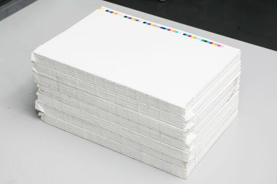 Máquina de embalagem de papel traseiro